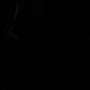 Meet your Posher, Faith